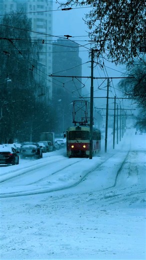 24 февраля 2026 г.