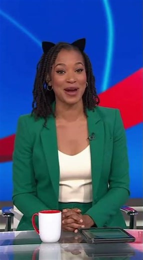 Funniest News Report You’ll See Today 📰😂 #funyshorts #funnynews #cat