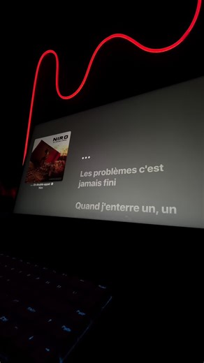 Niro: Les Problèmes de La Vie en Double Appel