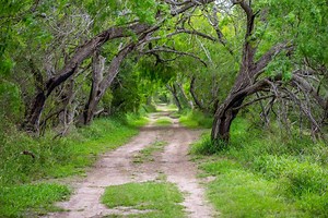 Estero Llano Grande State Park In Weslaco TX | America's State Parks