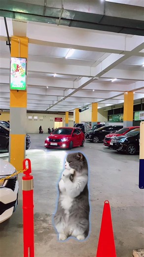 Brio Modifikasi Indonesia: Brio Styling Ideas & Indramayu Pride