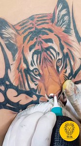 20K views · 275 reactions | Pano gumawa ng Tigre tribal lower back tattoo #tips #tutorial #tattoo #mewotv Mewo tattoo always on the go 24/7 from north to south east west 09053356215 VIVAMAX allona | Mewo TV | Facebook