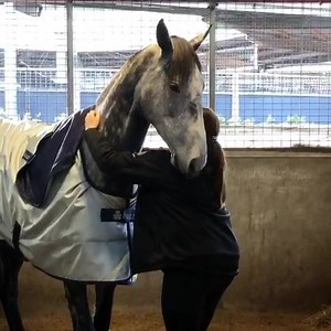 4.6M views · 922 shares | When one scratch just isn’t enough for Danzdanzdance...... #lovethehorse ❤️ Sky Racing Racing.com | Chris Waller Racing | Facebook