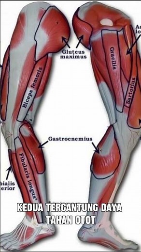 How Long Does It Take to Split? #shorts