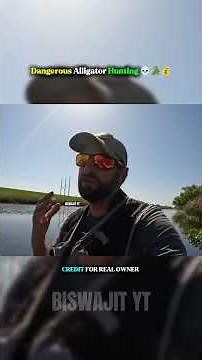 Dangerous Alligator Hunting 💀🐊💰