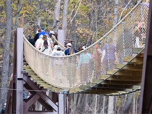 Rochester Hills Opens Rope Bridge At Innovation Hills