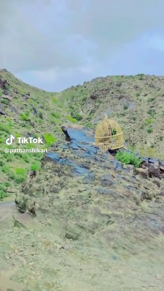 #شکاری🦅💯🔥 #چکور❤️❤️ #2025 #foryoupage #foryou