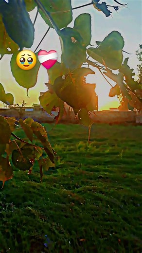 #song vibe with background 👌