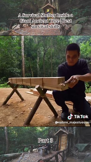 Survival Shelter Inside an Ancient Tree: Skills You Need