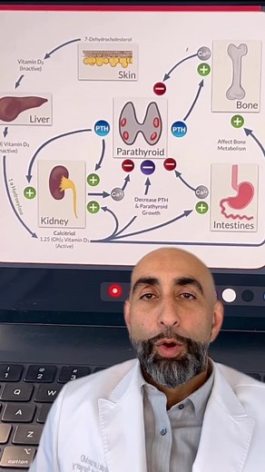 Here’s what happens if you have no parathyroid function after parathyroid surgery. 📞 (310) 461-0300 https://www.hyperparathyroidmd.com #parathyroid #parathyroiddisease #parathyroidsurgery #hyperparathyroidism #losangeles #doctor #doctorsoftiktok #foryoupage #education