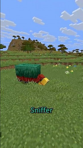 Minecrafts Most Forgotten Feature