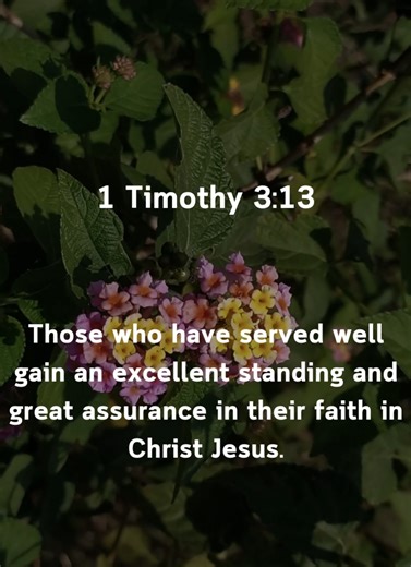 |1 Timothy 3:13|📖The boldness, growth, and honor all come through Christ alone.🍞#Bible #Faith #Love #BibleStudy #Jesus