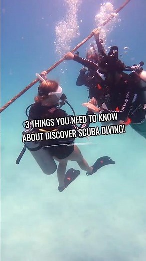 🤿 3 Things You NEED to Know Before Your Discover Scuba Dive! 🌊