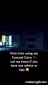 Another easily justifiable use of conceal carry on Make a GIF