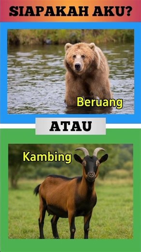 who am i ⁉️ Guess the Game Part 280 #shorts #quiz #guessthegame #quiz