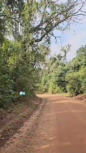 🔥San Ignacio, Misiones🔥 ✅️Llegué a éste lugar pensando que lo único interesante para visitar eran las famosas ruinas. Me equivoqué. Es mucho más interesante de lo que pensé ✅️Subido originalmente 29/8/24 ✅️Amo la tierra Colorada♥️🇦🇷 #brunostoa #misionesargentina #sanignaciomisiones | Los Médanos
