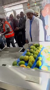 210K views · 604 reactions | L’usine de transformation de mangues de...