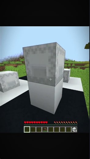 Minecraft Big Shulker Illusion Moment 💀