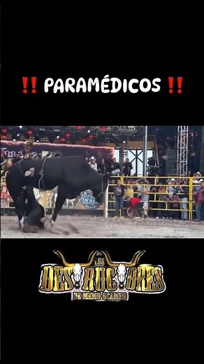 halcón de Charo vs niño de la tierra #jaripeo #toros #caporal #viral
