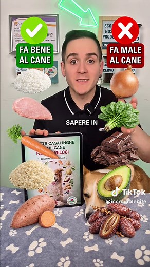 Alimenti Benefici e Dannosi per i Cani