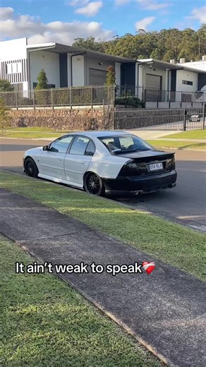 Real shi gang #vy #commdore #ecojet #mint #carlove #carlife #131114🕊 | car