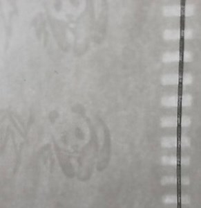 [Hot Item] High Security Watermark Paper Ticket Printing for Certificate Security Paper