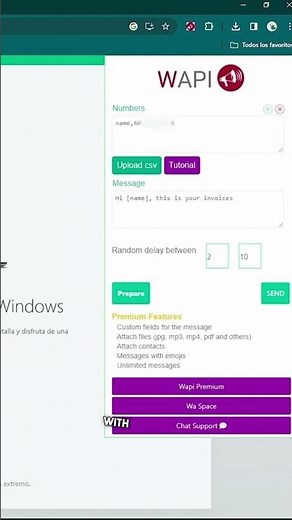 automate your messages with Wapi