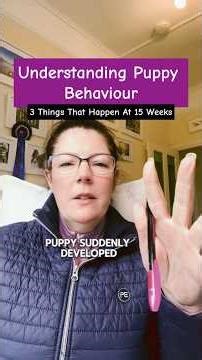 Understanding Puppy Behaviour at 15 Weeks | 3 Normal Changes in Your Puppy
