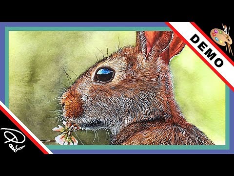 How to paint a realistic rabbit in watercolour - with Paul Hopkinson