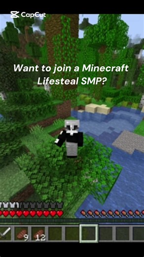 #fyp#fypp#smp#lifesteal#minecraft