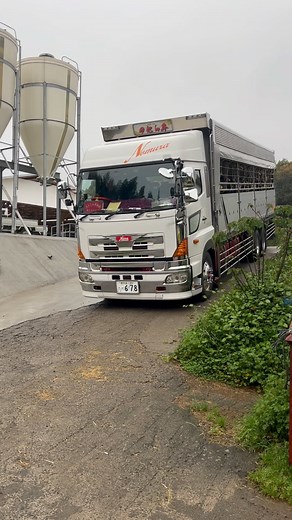🐃 本日、東京食肉市場へ向け 【北さつまのむら牛】12頭無事出発致しました。 東京食肉市場ご購買者の皆々様。 先日の『松永・野村・せんば牛グループ枝肉研究会』の際は たくさんの応援、振り切ったご購買本当にありがとうございました。もっと良い牛創りをしていけるよう野村畜産一同、一丸となって精進して参ります。 今後とも、そして4/8(月)もまた【北さつまのむら牛】を よろしくお願い致します。 #有限会社野村畜産 #野村畜産 #北さつま #北さつま牛 #北さつまのむら牛 #のむら牛 #黒毛和牛 #和牛 #鹿児島県 #出水市 #東京 #東京食肉市場 | 有限会社 野村畜産