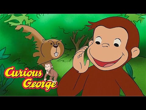 The Monkey and the Whistlepig 🐵 Curious George 🐵 Kids Cartoon 🐵 Kids Movies