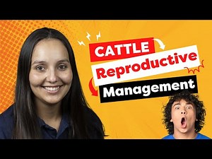 Artificial Intelligence and Estrus Detection - Dr. Cecilia Rocha