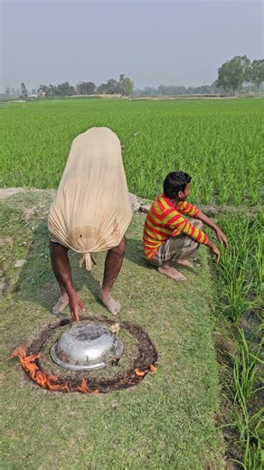 A cow came and turned the pot upside down.5070#funny