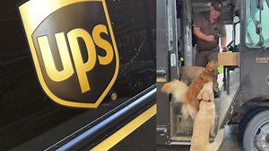 UPS guy is super popular with south metro pups