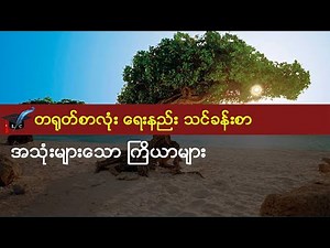 တရုတ်စာရေးနည်း - အသုံးများသော ကြိယာများ