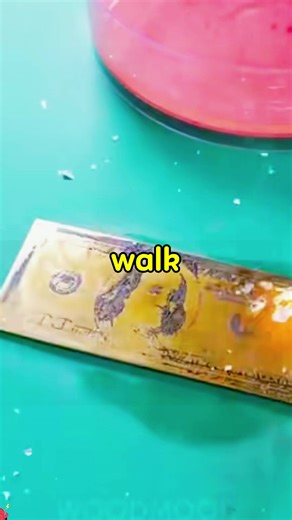 A Father’s Lesson: Leaving My Son on the Road