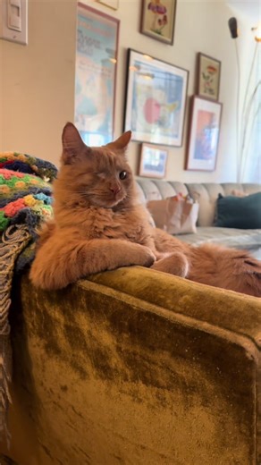 Understanding Body Language: Arm Positioning Insights