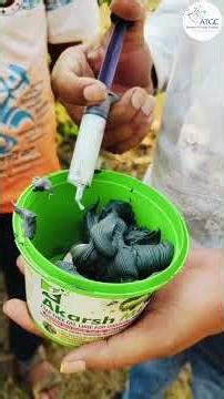 फळमाशीच्या समस्येचा अंत | शेतकऱ्यांसाठी सर्वोत्तम उपाय |Fruit Fly Control in Marathi#akarshme #atgc