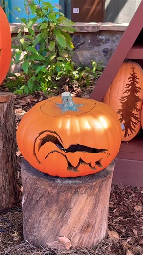 Skunk Pumpkin 🎃 | My Yard Skunk Problem Inspires Halloween Art