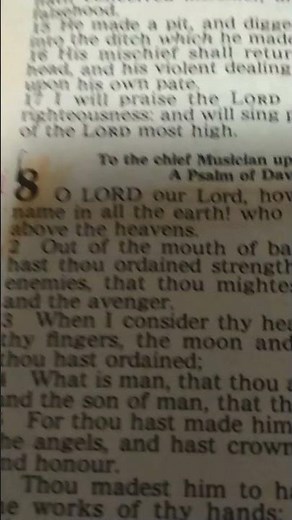 PSALM 8:1 O LORD our Lord, how excellent is thy name in all the earth! who hast set thy glory above