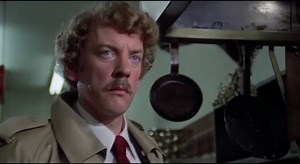 Invasion of the Body Snatchers (1978)