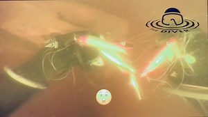 Last April 2024, after shocking walleyes with the Wisconsin DNR, I suited up and did a 40 minute cleanup dive to remove fishing line, hooks, lures and whatever didn’t belong underwater. I saw a LOT of fish, including walleyes, sturgeon, smallmouth bass and redhorse suckers! This work I do helps keep the water life safer, especially after the walleye run is over. 👍 #scubadiving #marinette #Wisconsin #menominee #michigan #menomineeriver #cleanup #fyp #fun #fish #underwater #fishinglures #fishing 