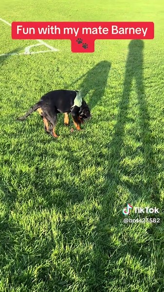 Met Barney at the Park today 💙💙🐾🐾