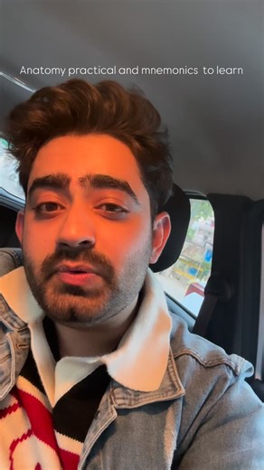 Dr Sarthi on Instagram: "Anatomy and mnemonics 😬😂 !! Do you know about this ?"