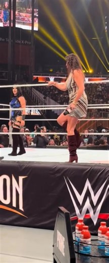 I appreciate you all ❤️ #foryoupageシ #StephanieMcMahon #usa #goviral | Stephanie McMahon fans page