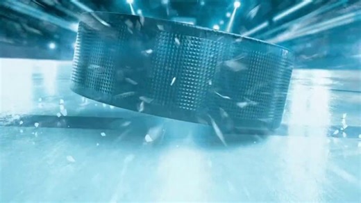 NHL Shop TV Spot, 'Champion Your Team'