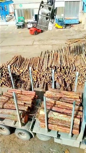 Log Loader #heavyequipment