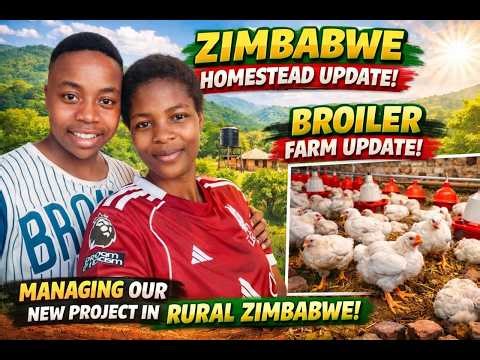 Zimbabwe Homestead Update 🇿🇼 | Broiler Farm Progress & Managing Our New Rural Project