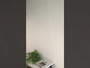 Full Hotel Tour at Holiday Inn Express & Suites Frankfort, KY